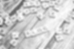 pexels-markus-winkler-1430818-19813743_edited.jpg
