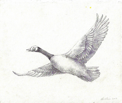 Screen Shot 2021-12-22 at 2.32.55 PM.png