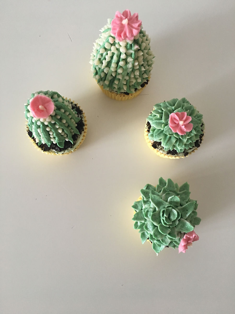 Thumbnail: 6 Succulent cupcakes