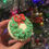 Thumbnail: Festive cupcakes - box of 6