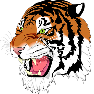 512px-Ghostscript_Tiger_svg.webp