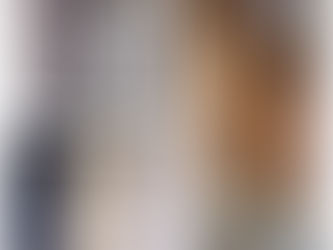 食器洗い乾燥機