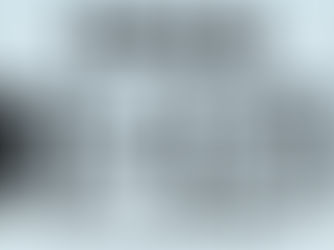 Understanding the Front and Back License Plate Law in Texas with Travis Driving School