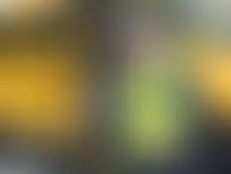 Guide to Obtaining Your School Bus License in Texas