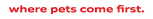 PK LOGO IMAGE BG Dark (Edit with AI).png