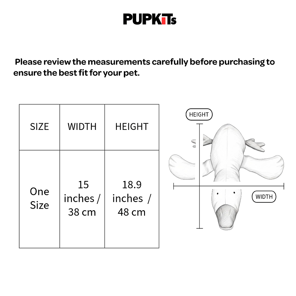 Thumbnail: Duckie - Dog Toy