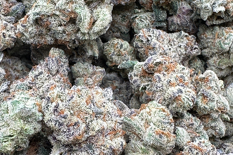#1 online dispensary Sticky Rice available online at Next Day THCA, terps, headies, order
