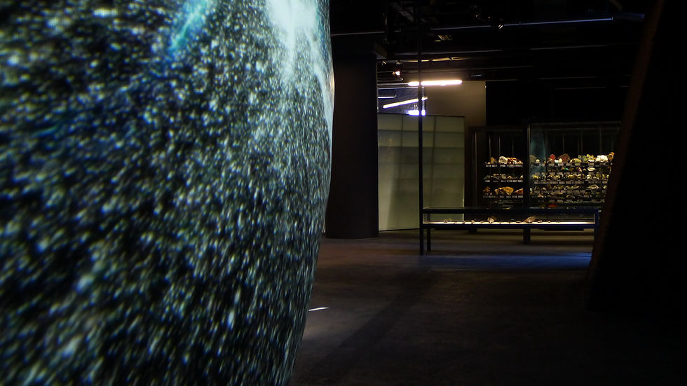 Natural Science Museum Barcelona