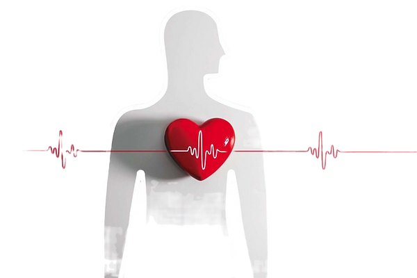 p3-heartbeats-n0925-gi2215882553_edited.