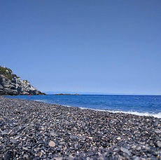 IMG_3241.JPG