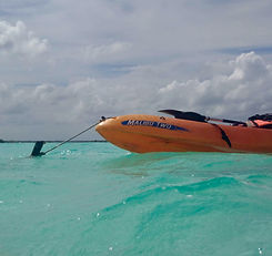 IMG_E8135.JPG