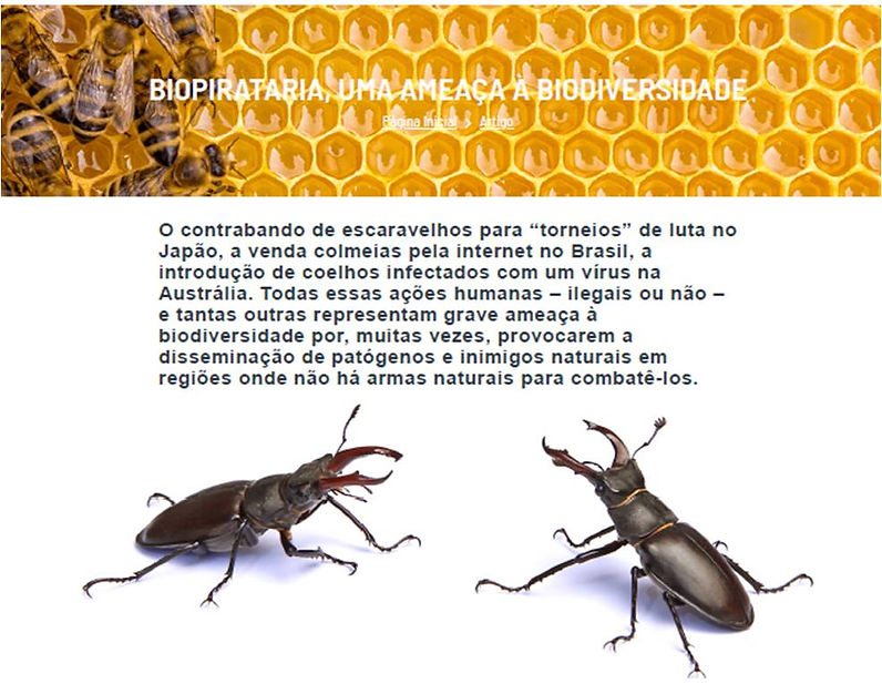 Biopirataria2.jpg