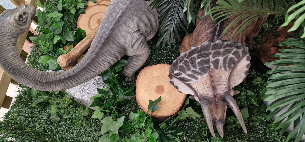 Weston Favell Dinosaurs