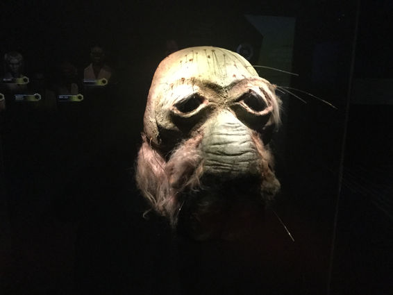 Star Wars Identities
