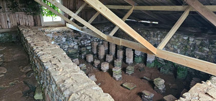 Brading Roman Villa