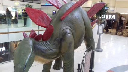 Weston Favell Dinosaurs