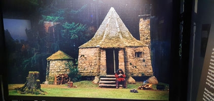 Harry Potter Photography Exhibit