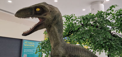 Weston Favell Dinosaurs