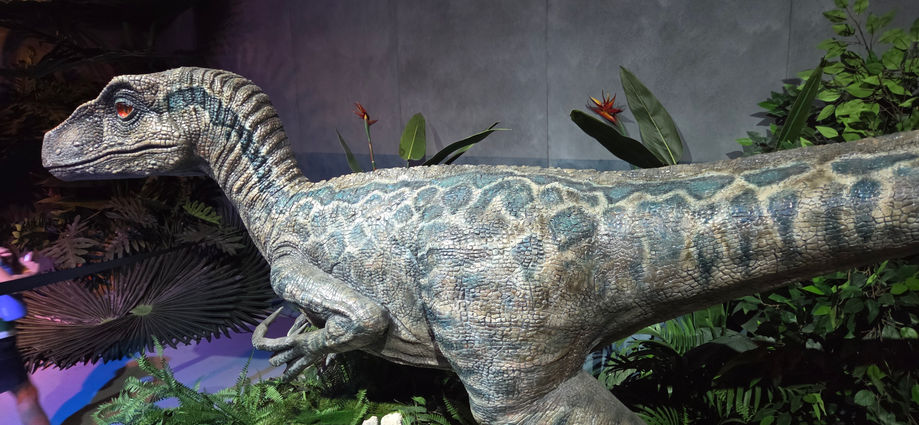 Jurassic world the exhibition
