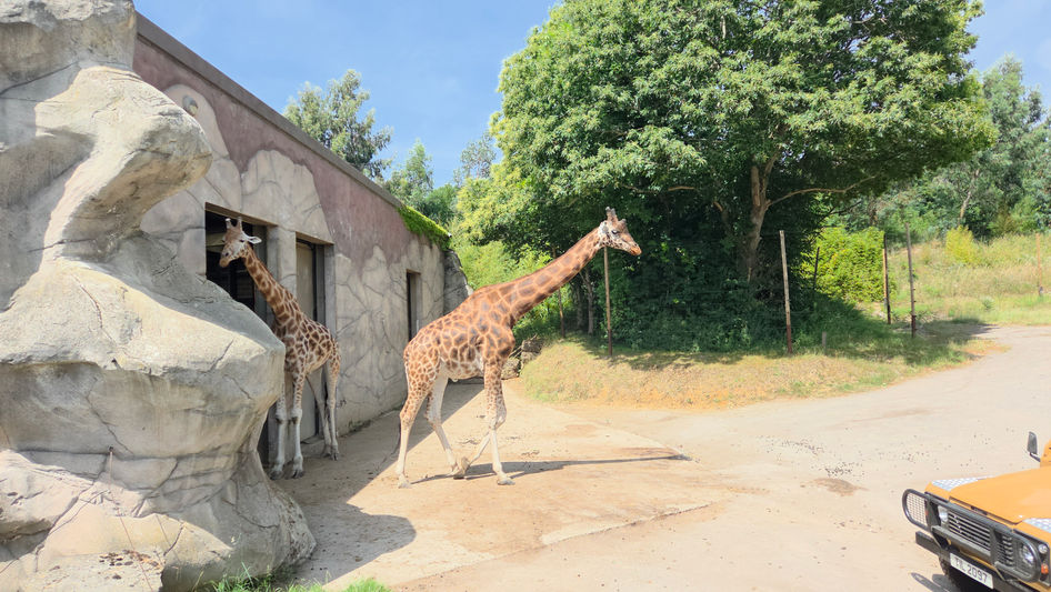 Chessington World of Adventures