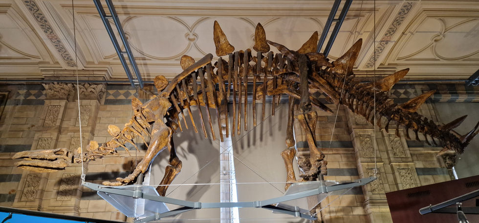 Natural History Museum