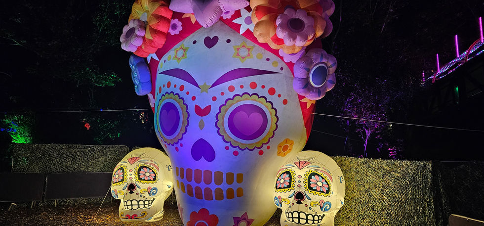 Fiesta of the Dead 2024