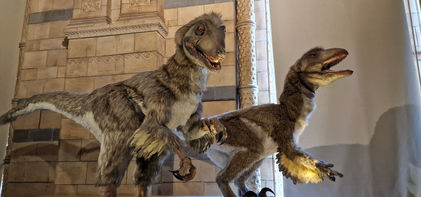 Natural History Museum