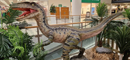 Weston Favell Dinosaurs
