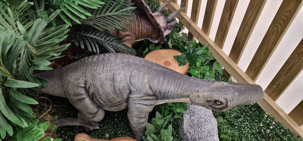 Weston Favell Dinosaurs