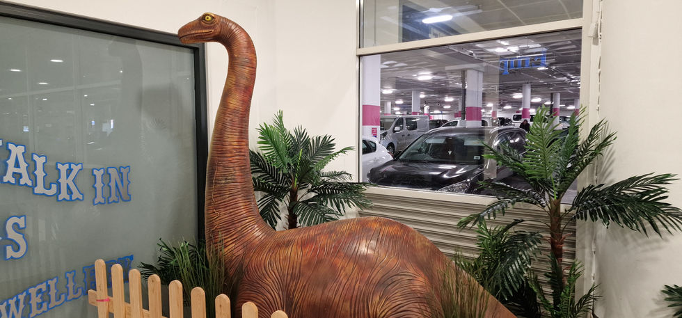 Weston Favell Dinosaurs