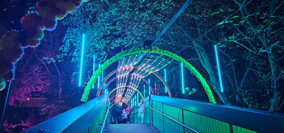 Fiesta of the Dead 2024