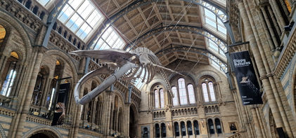 Natural History Museum