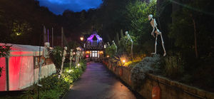 Shanklin Chine Halloween