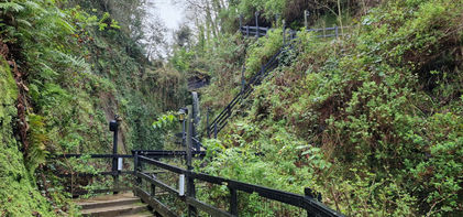 Shanklin Chine