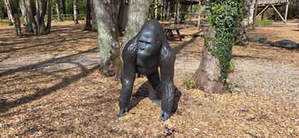 Robin Hill Adventure Park