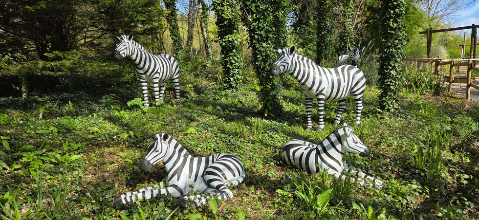 Robin Hill Adventure Park