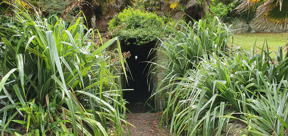 Ventnor Botanical Gardens