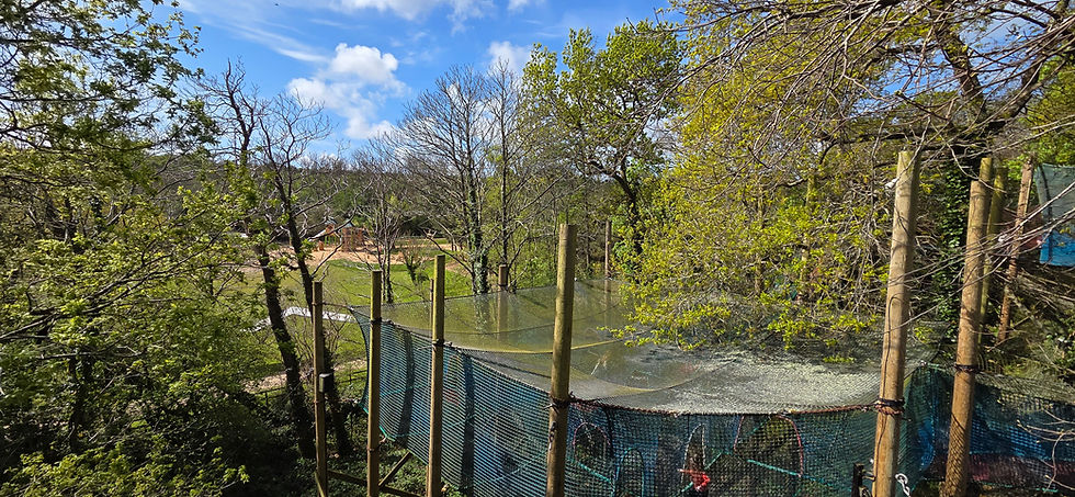 Robin Hill Jungle Heights