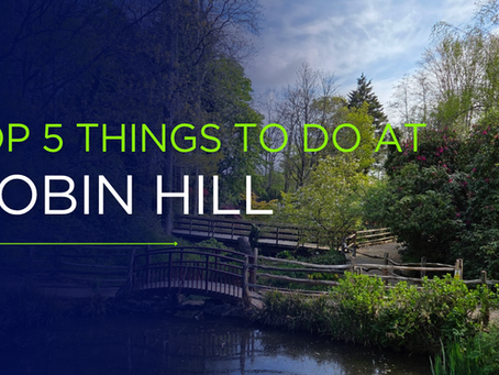 Top 5 things to do at Robin Hill Adventure Park
