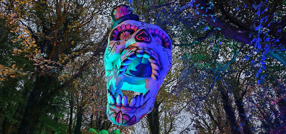 Fiesta of the Dead 2024