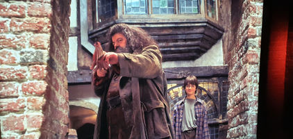 Harry Potter Photography Exhibit
