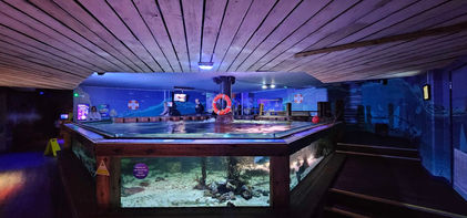 Birmingham Sealife Centre