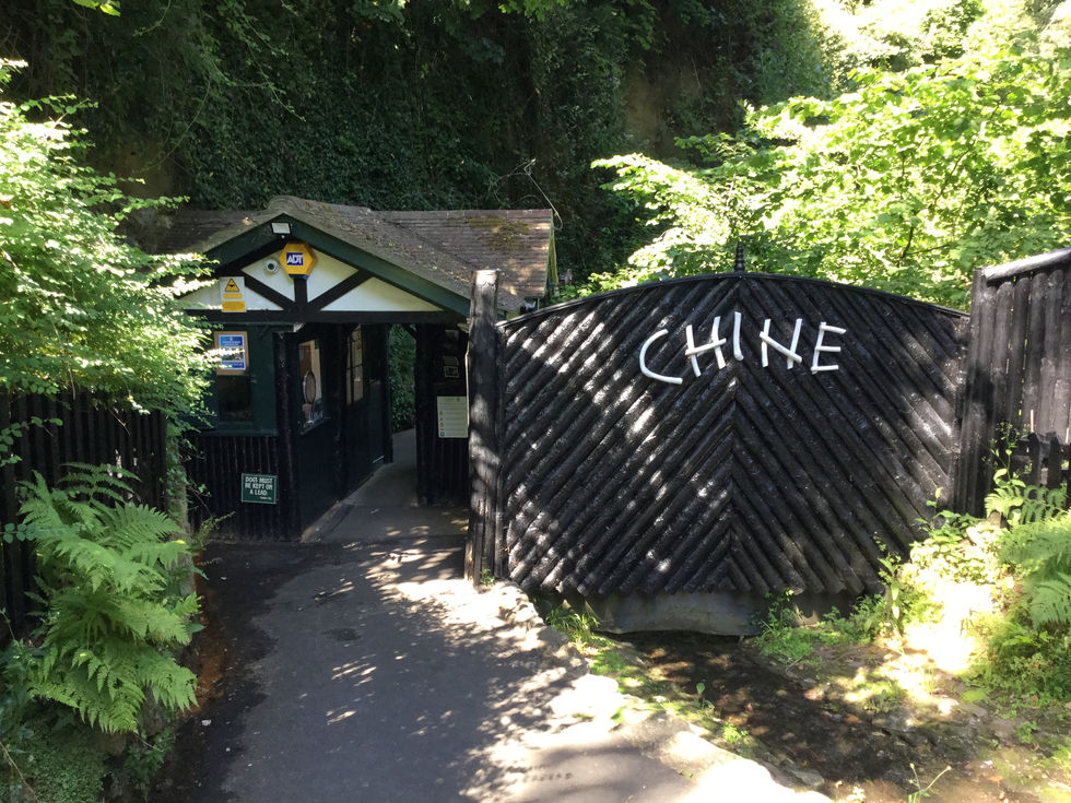 Shanklin Chine