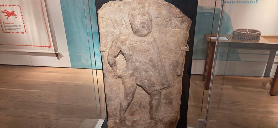 Northampton Museum