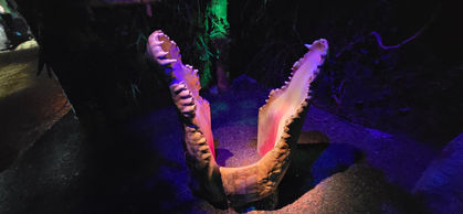 London Sealife Centre