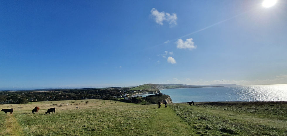 Tennyson Down