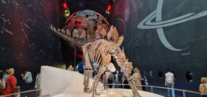 Natural History Museum