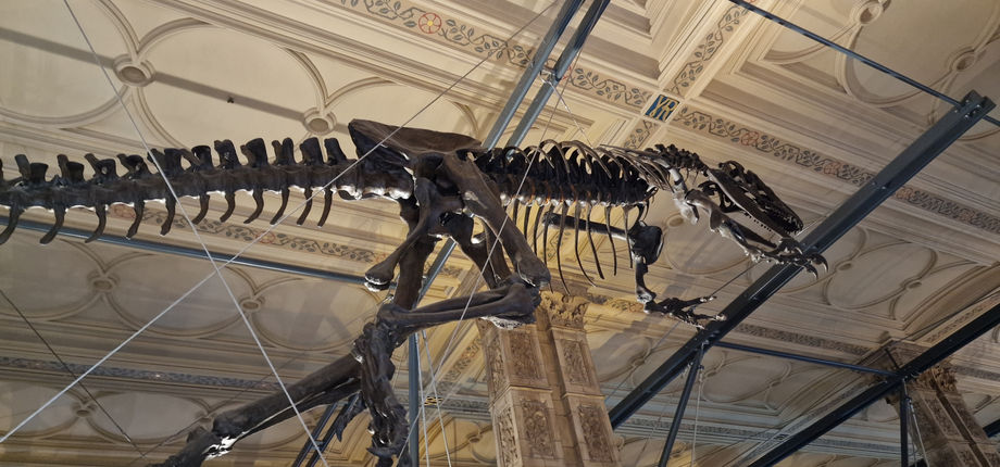 Natural History Museum
