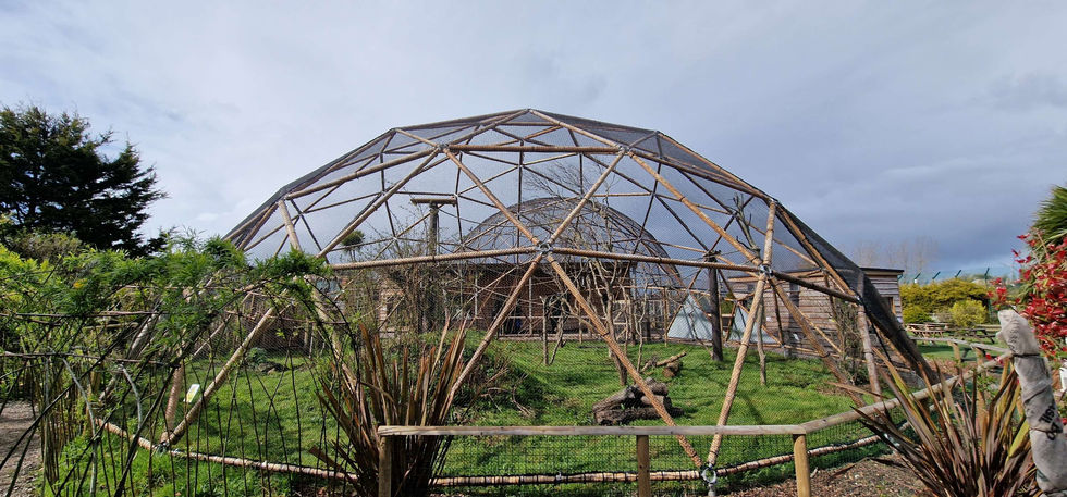 Wildheart Animal Sanctuary