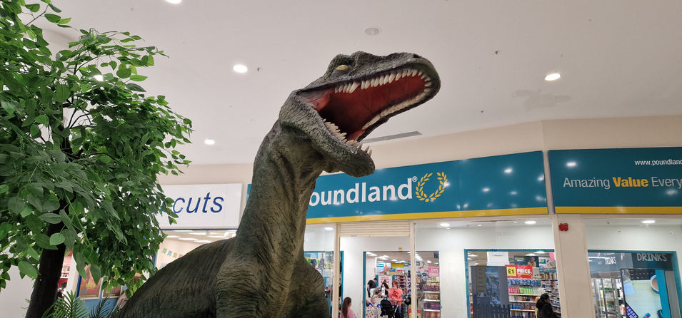 Weston Favell Dinosaurs